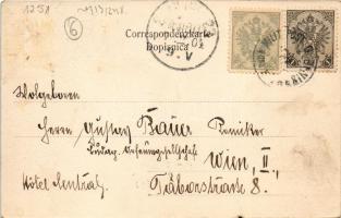 1904 Trebinje, Begs Häuser in Bregovi. Anton Pericevic (EK)