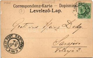 1905 Zavidovici, Waldmanipulations Gebiet der Firma G. Gregersen & Söhne Zavidovic-Kamenica / wa...