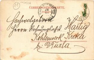 Teslic, Bosnische Holzverwertung Actien-Gesellschaft / Bosnian wood recycling company, industrial ra...