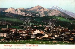 Nevesinje, Totalansicht / general view