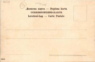 Nevesinje, Totalansicht / general view