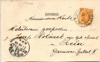 1898 (Vorläufer) Bugojno, Dzamija, Konak, Hotel Vrbas, Hotel Kod crnog orla / mosque, general view w...