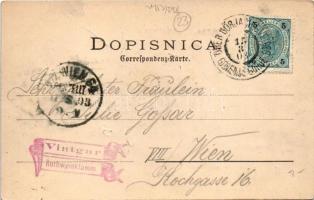 1903 Zgornje Gorje, general view with church