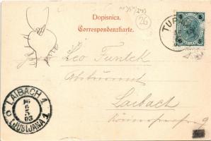 1903 Olsevek, Kerhljeva gostilna / general view, inn. Jak. Kozelj