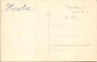 Ószelec, Hozelecz, Hozelec (Poprád); kúria, kastély / villa, castle. photo