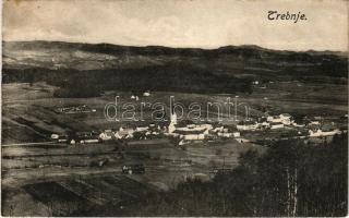 1917 Trebnje, general view with church (wet corner)