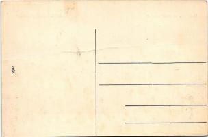 Osgyán, Ozdany (Gömör); Báró Luzénszky kastély / castle (fa)