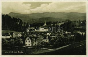 Dobrna, general view with church