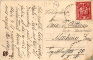 Sredisce ob Dravi, Polstrau; general view (EK)