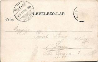 1906 Vasvár, Béla piac tér. Breiner Lipót kiadása (fa)