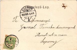 1902 Csepreg, Iskola tér, Hosszú utca, Kohn Sándor üzlete (EK)