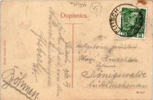 1909 Bovec, Plezzo, Flitsch; Svinjak / mountain (fl)
