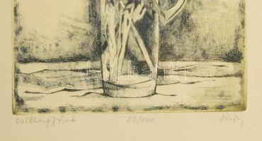 Túry Mária (1930-1992): Csillagfürt. Rézkarc, papír, jelzett, sorzsámozott 22/100 30x19 cm Üvegezett...