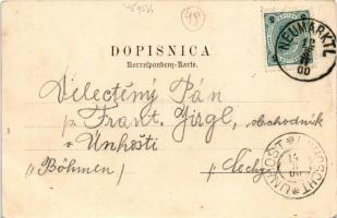 1900 Trzic, Neumarktl; general view. Weiss & Dreykurs (fl)
