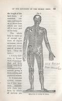Nichols, T[homas] L[ow]: 
Esoteric Anthropology.
Port Chester, 1853. (N. Y. Stereotype Association...