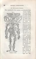 Nichols, T[homas] L[ow]: 
Esoteric Anthropology.
Port Chester, 1853. (N. Y. Stereotype Association...