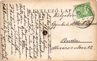 1913 Cibakháza, Sváb kastély és parkja (EK)