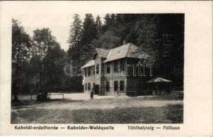 1914 Kabold, Kobersdorf; erdei forrás, töltőhelyiség / Waldquelle Füllhaus / forest spring, bottling station