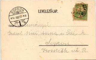 1904 Lánzsér, Lándzsér, Landsee (Sopronszentmárton); várrom / Schlossruin / castle ruins