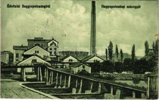 1916 Nagytapolcsány, Topolcany; cukorgyár. Platzko Gyula kiadása / sugar factory