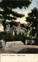 1914 Kastela, Kastel Luksic; Pension Dr. Soulavyho / villa hotel