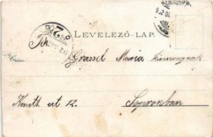 1902 Kismarton, Eisenstadt; Leopoldina szobor a templomban. Viktor Kern kiadása / Leopoldinentempel,...