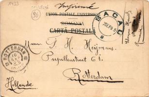 1905 Bacau, Bákó; Primaria cu Str. Jónita Sturza / town hall, street view. Editura Fotografia Centra...