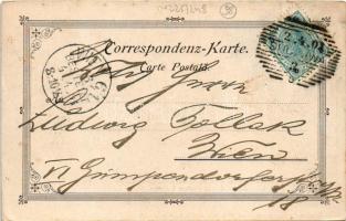 1901 Suceava, Suczawa, Szucsáva, Szőcsvásár (Bukovina, Bucovina, Bukowina); Schloss-Ruine der Moldau...