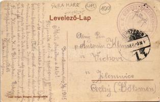 1915 Nagycsűr, Großscheuern, Sura Mare; Evang. Schule mit Strassenansicht / Evangélikus iskola, utca...