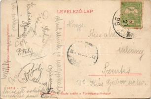 Szliács, Sliac; Fürdő igazgatóság és Buda szálloda. Kerekes Miklós kiadása / spa directorate and hot...