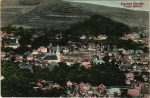 1916 Parajd, Praid; látkép. Stein Izsák kiadása / general view (EB)