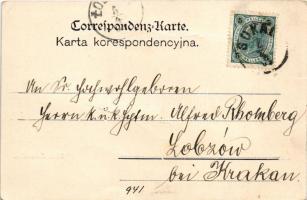 Sokal, Ulica Zarwanica / street (tear)