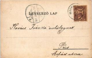 1901 Alsó-Fehér vármegye térképe. Kiadja Károlyi Gy. / Map of Alba de Jos county