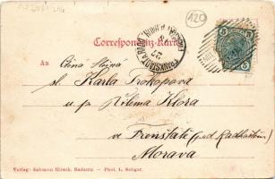 1905 Radauti, Radóc, Radautz (Bukovina, Bucovina, Bukowina); general view, shops of Carl Dauber, Sal...