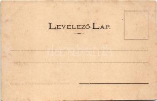 Hársfalva, Nelipino, Nelipyno (Szolyva, Svaliava); Rudolf vár. Bertsik Emil kiadása / castle (EB)