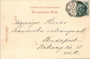 1902 Gorizia, Görz, Gorica; Caffé al Corso / cafe