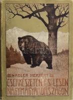 Nadler Herbert: Cserkészeten és lesen Nagymagyarországon. Vadászati elbeszélések. A szerző, Nadler Herbert (1883-1951) vadász, vadászati szakíró, állatkert-igazgató, fényképész, zoológus által DEDIKÁLT példány.  "Dr. Sándor Dénes kedves barátomnak szeretettel Nadler Herbert 1930. II. 8." Bp., 1926, Franklin, 1 t. +266+2 p. + 12 t. Első kiadás. Gazdag fekete-fehér egészoldalas és szövegközti fotóanyaggal, köztük 12+1 képtáblával illusztrált. Kiadói illusztrált egészvászon-kötés, kopott borítóval, sérült gerinccel, egy kijáró lappal (15/16.)