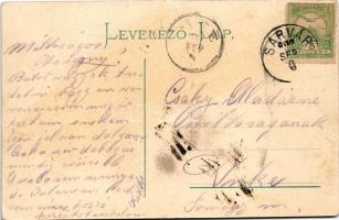 1907 Sárvár, a jövőben montázs, Steiner Albert liszt és gabonakereskedése, Spiegel üzlete. Krausz Jó...