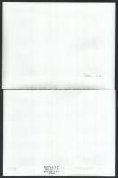 1978-1984 között készült felvételek Dudás Juló festőművészről, Kresz Albert (1939-2020) gödöllői fot...