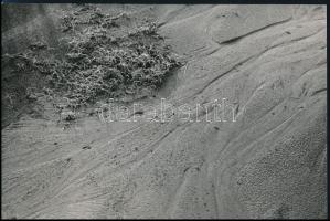 1979 Andics Árpád debreceni fotóművész felvétele (Cím nélkül), 1 db vintage fotó, feliratozva, ezüst zselatinos fotópapíron, 16x24 cm