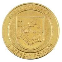 DN "Székelyudvarhely - A székely főváros / Csaba királyfi" kétoldalas bronz emlékérem, ere...