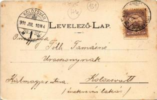 1901 Sárospatak, vár. Trócsányi Bertalan kiadása (fl)