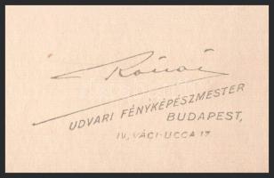 cca 1928 Rónai Dénes (1875-1964) fényképész és fotóművész felvétele, 1 db jelzett vintage fotó, ezüs...