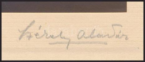 cca 1925 Székely Aladár (1870-1940) budapesti fényképész és fotóművész felvétele, 1 db vintage fotó,...