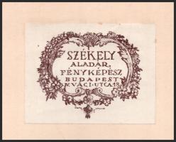 cca 1925 Székely Aladár (1870-1940) budapesti fényképész és fotóművész felvétele, 1 db vintage fotó,...