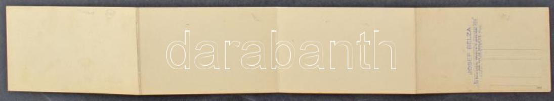 Huszt, Chust, Khust; 4-részes kihajtható panorámalap / 4-tiled folding panoramacard (fl)