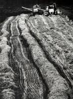 1983 Gebhardt György (1910-1993) budapesti fotóművész hagyatékából 1 db vintage fotóművészeti alkotás, feliratozva, datálva (Aratás), ezüst zselatinos fotópapíron, 35x25,5 cm