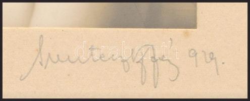 1929 Mindszenthy budapesti fényképész vintage fotója, aláírva, datálva, kasírozva, 11,4x16 cm, karto...