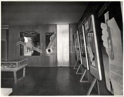 cca 1951 Seidner Zoltán felvételei az egészségvédelemről szóló budapesti propaganda kiállítás anyagá...