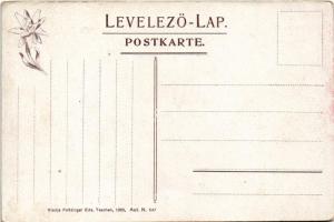 Árvaváralja, Oravsky Podzámok (Tátra, Tatry); vár. Feitzinger Ede 1905. N. 647. / castle (EK)